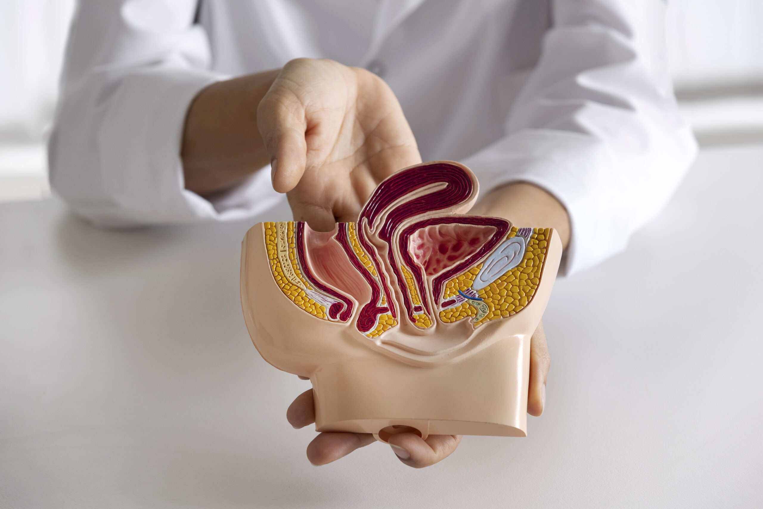 high-angle-doctor-explaining-anatomy-copiar-scaled